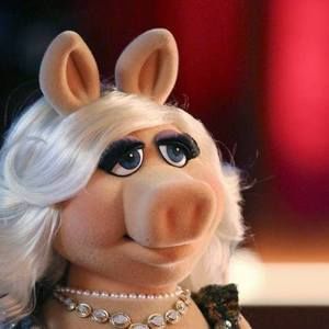 Meet your Posher, Connie